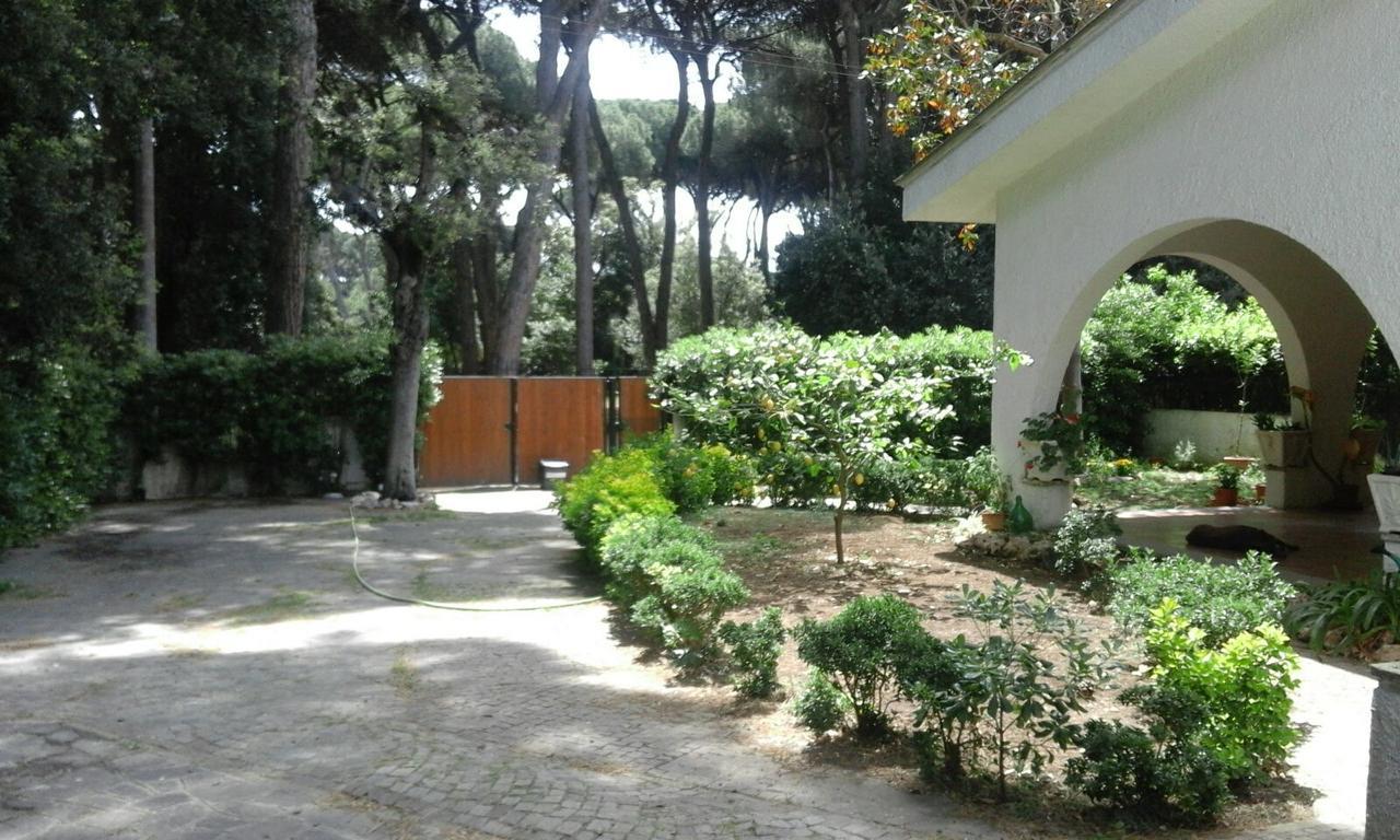 La Casa Di Nataly Bed & Breakfast Fregenae Exterior photo