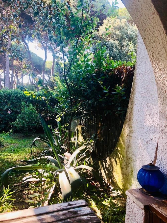 La Casa Di Nataly Bed & Breakfast Fregenae Exterior photo